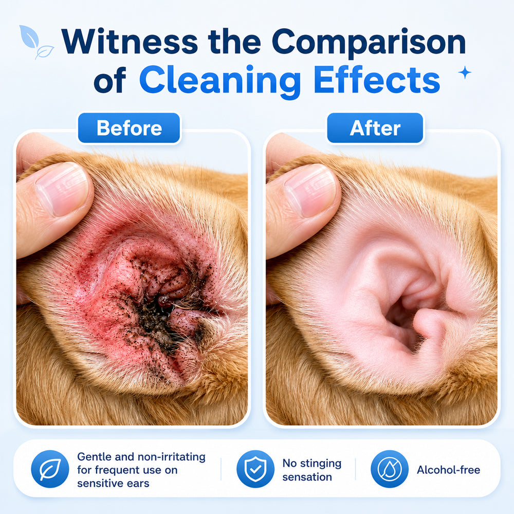 👩‍⚕️Pethale™ Pet Ear Cleansing Solution🐶 🐈️