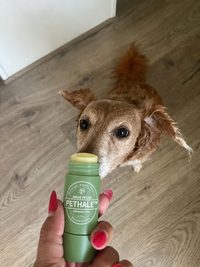 Soft paws made easy