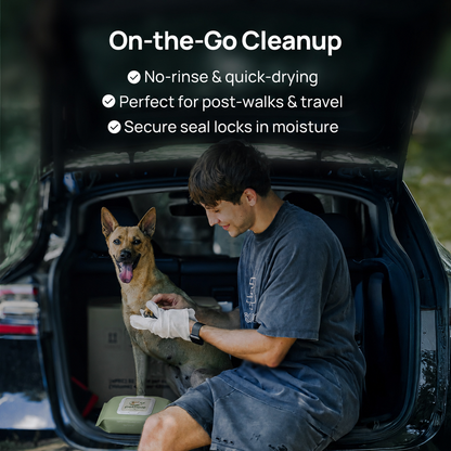 Pethale™ Deodorizing Glove Wipes for Dogs & Cats - Waterless Bath Alternative